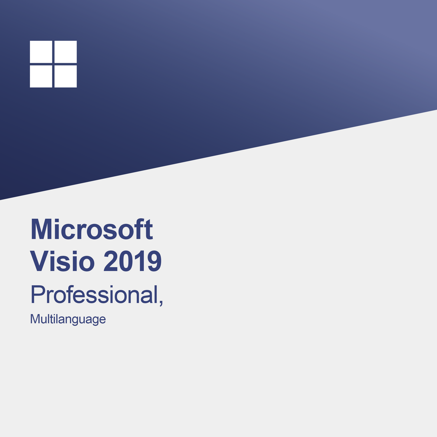 Microsoft Visio 2019 Professional, vícejazyčný